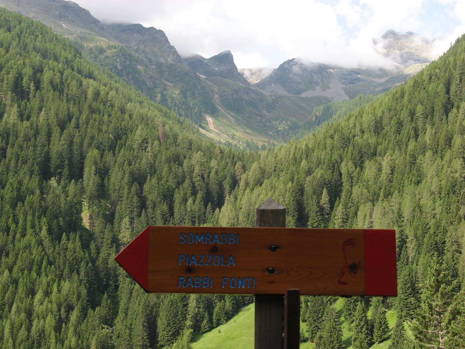 Cartello segnaletico in legno con scritta Rabbi Fonti lungo il sentiero verso le Terme di Rabbi, montagne sullo sfondo