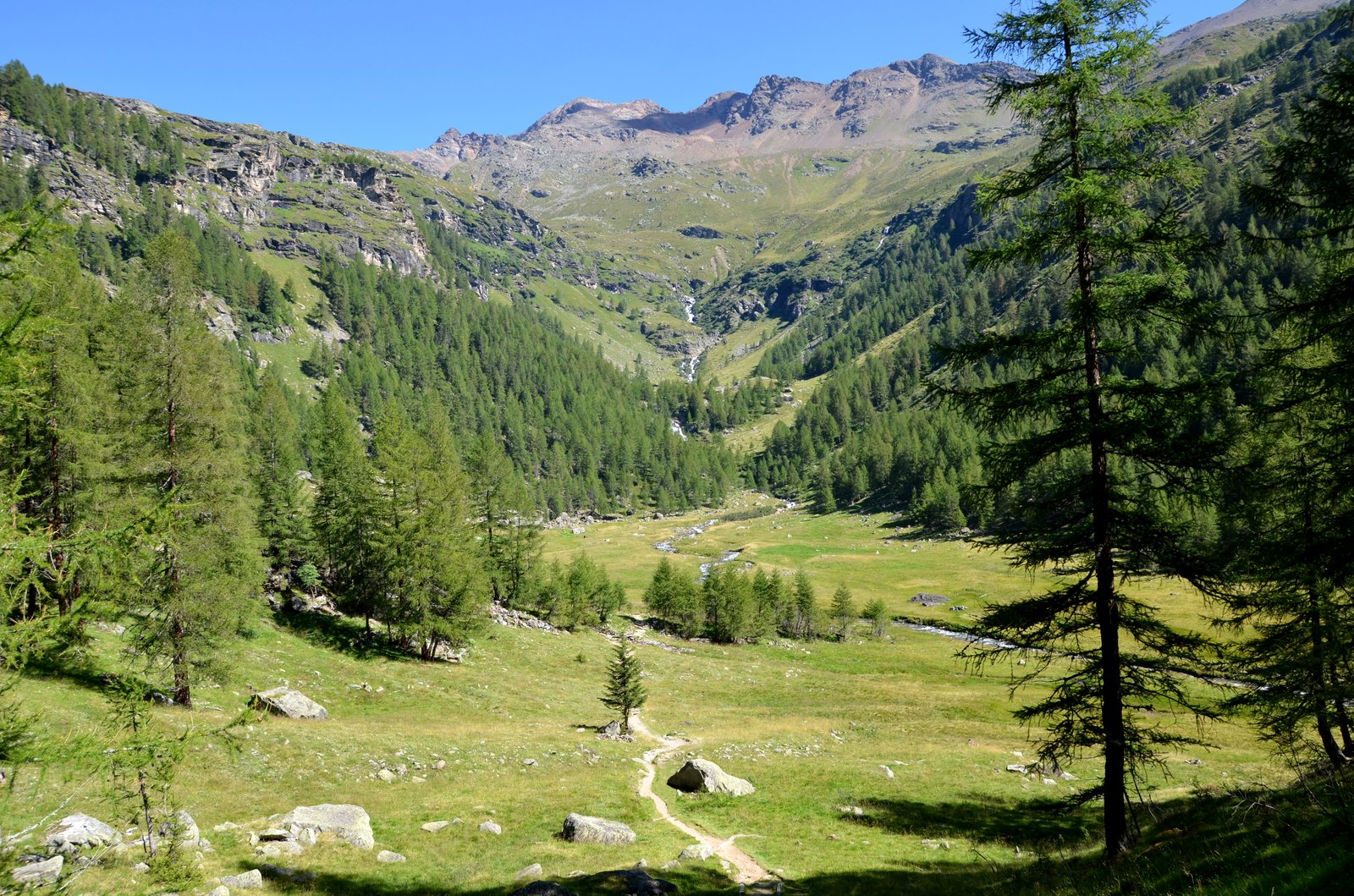 Panorama della Val di Rabbi con prati, torrente e montagne del gruppo Ortles-Cevedale sullo sfondo